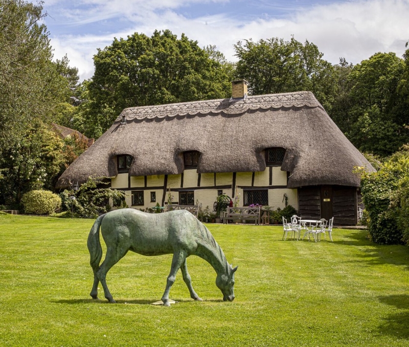 Old Thatch & The Millennium Barn